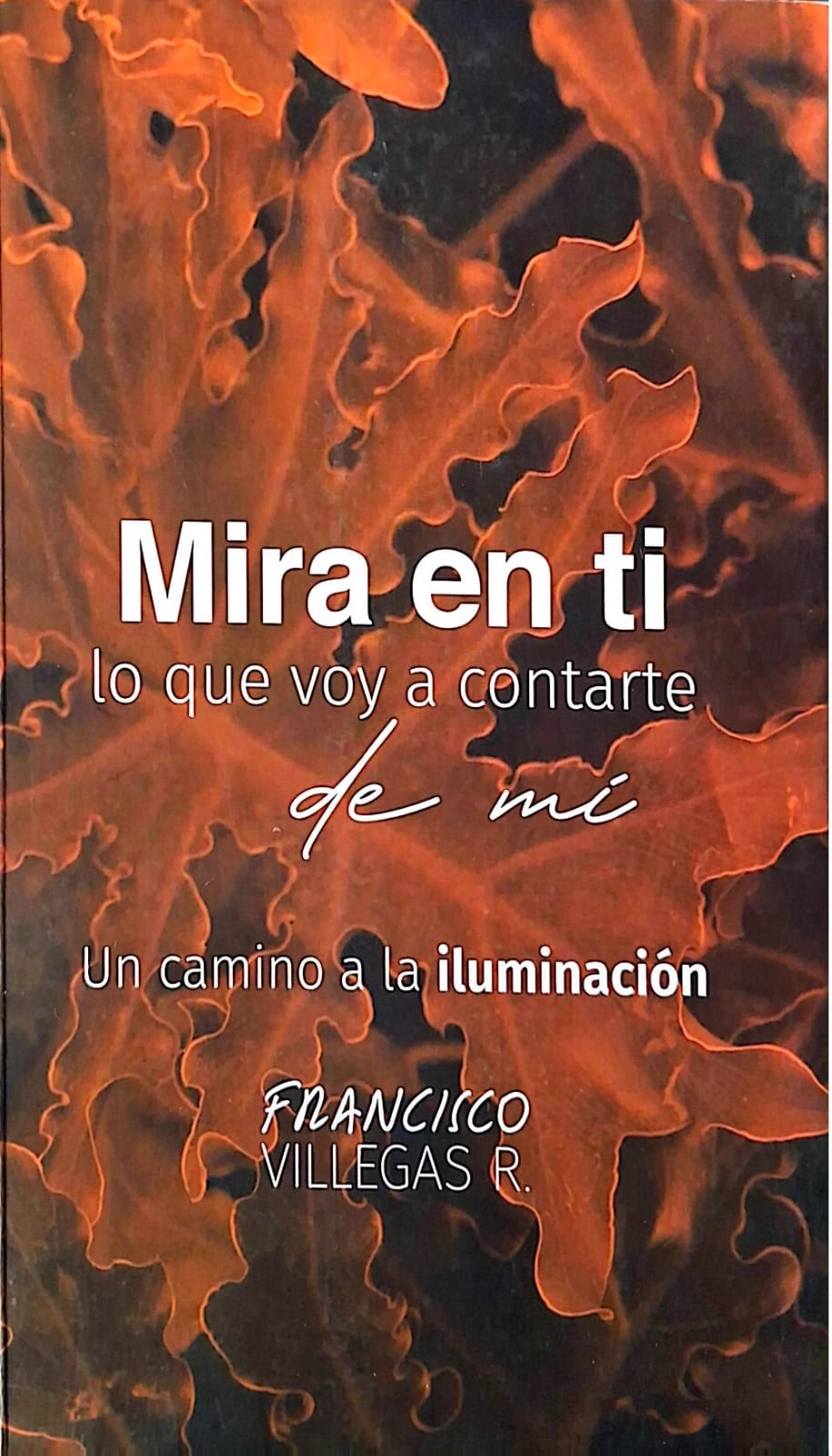 Mira en ti lo que voy a contarte de mí
